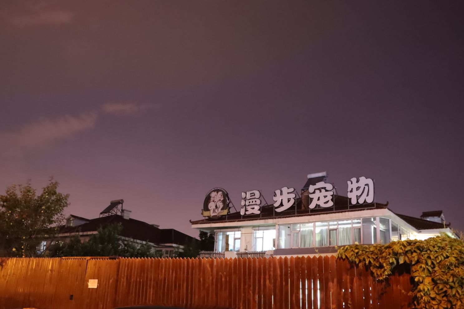 漫步宠物