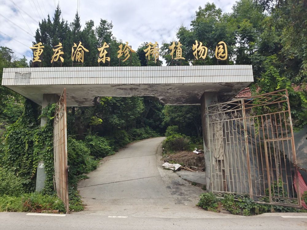 渝东珍稀植物园