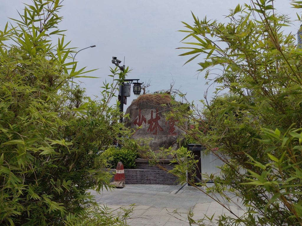 中医少林堂
