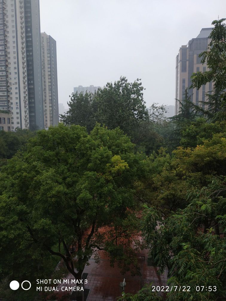 五一公园