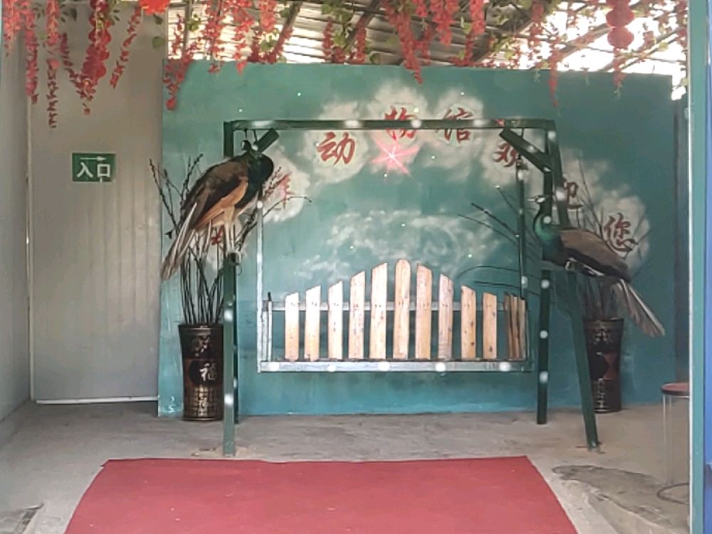 会仙河公园海洋动物馆