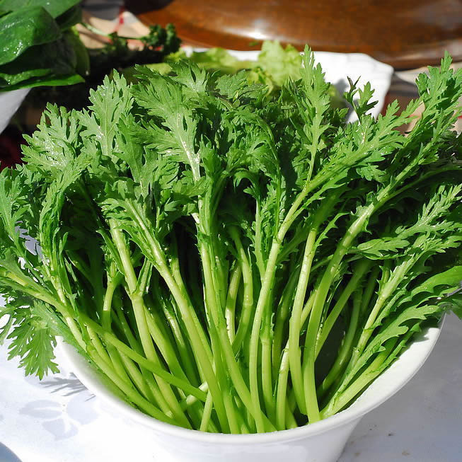 聚蛙坊餐饮店(文明路店)