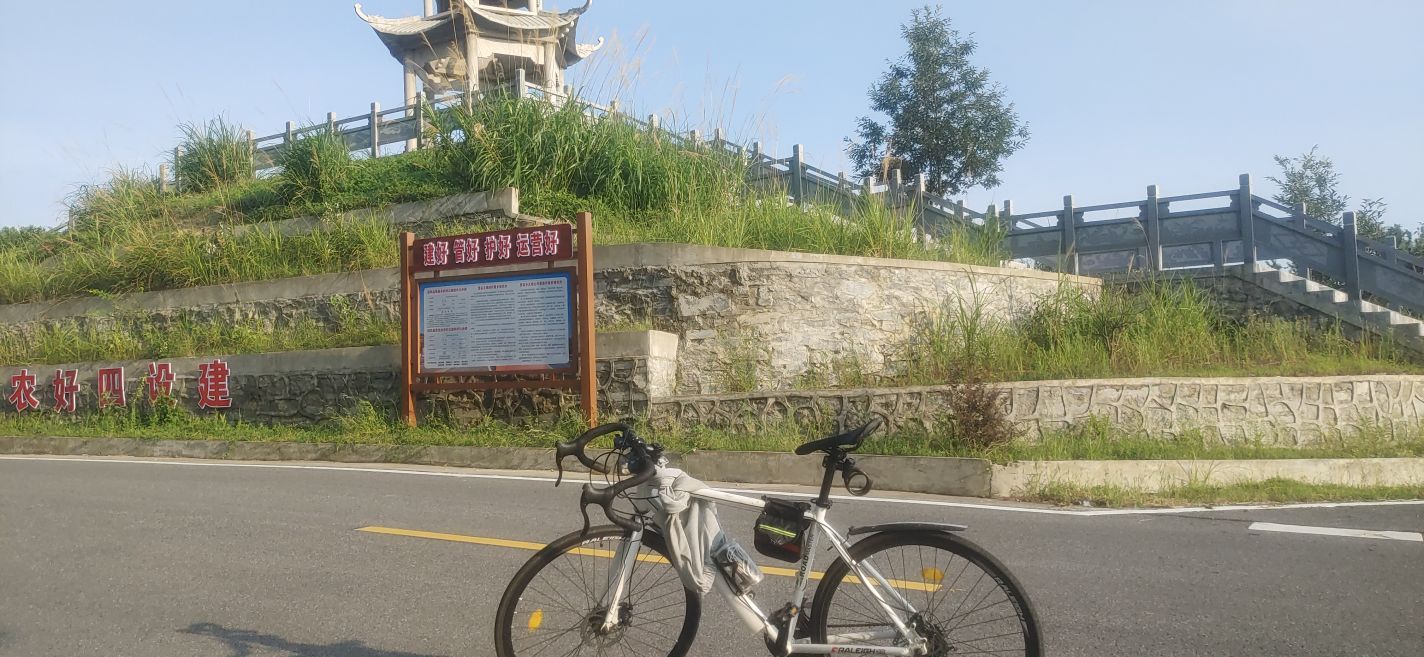 大崎山森林公园