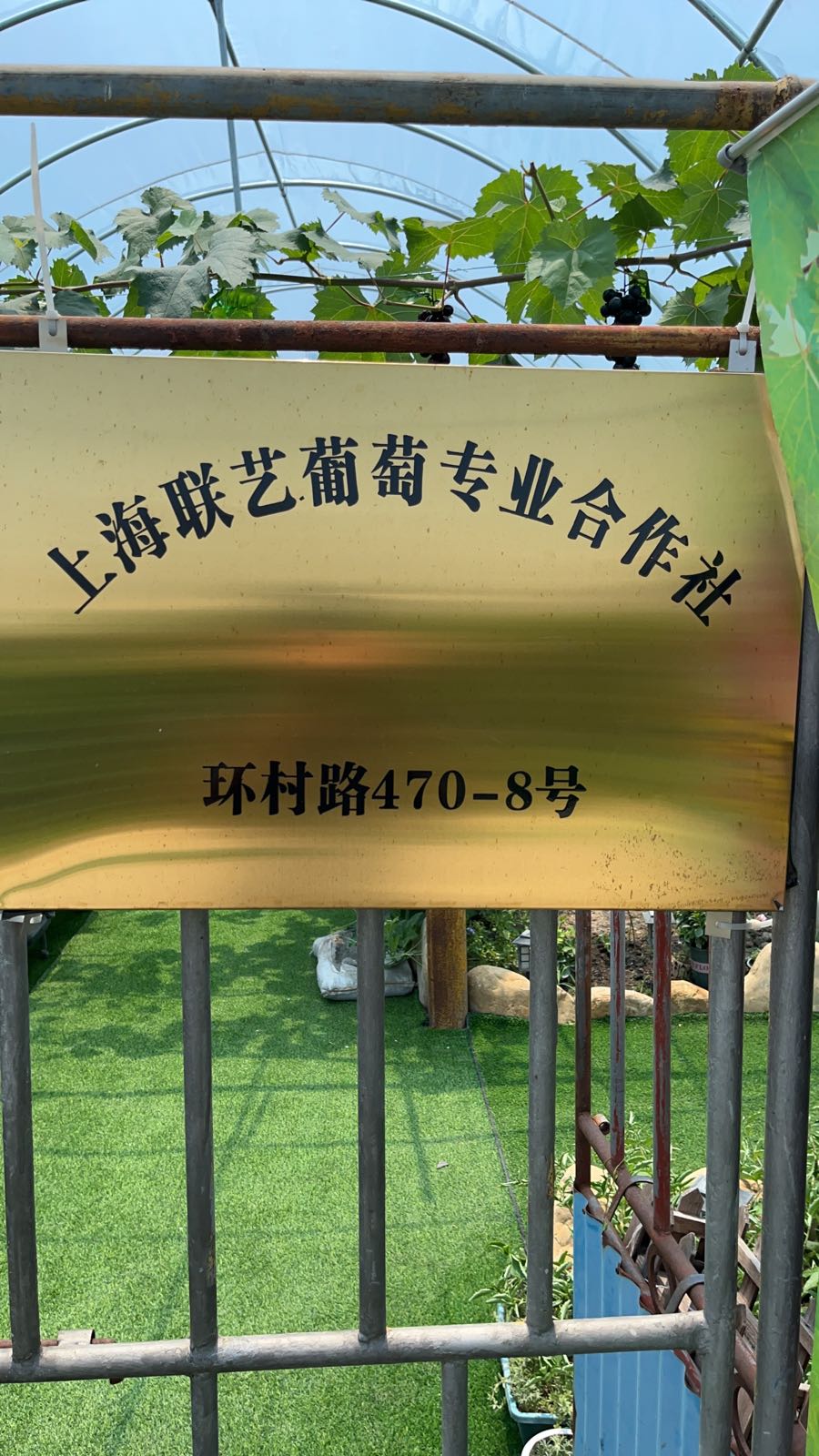 8号休闲果园
