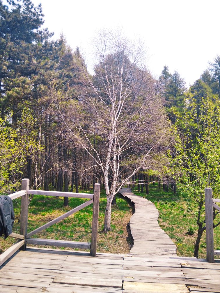 黑熊谷风景区