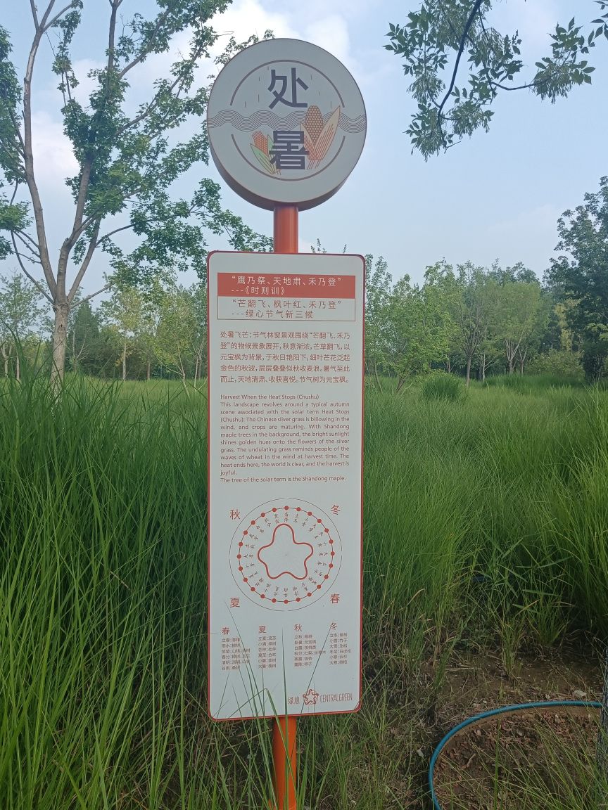 处暑飞芒