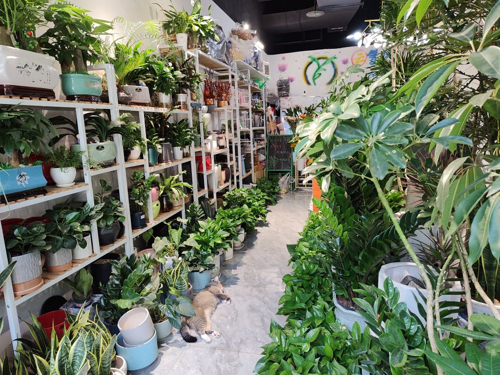 云梦花坊花店