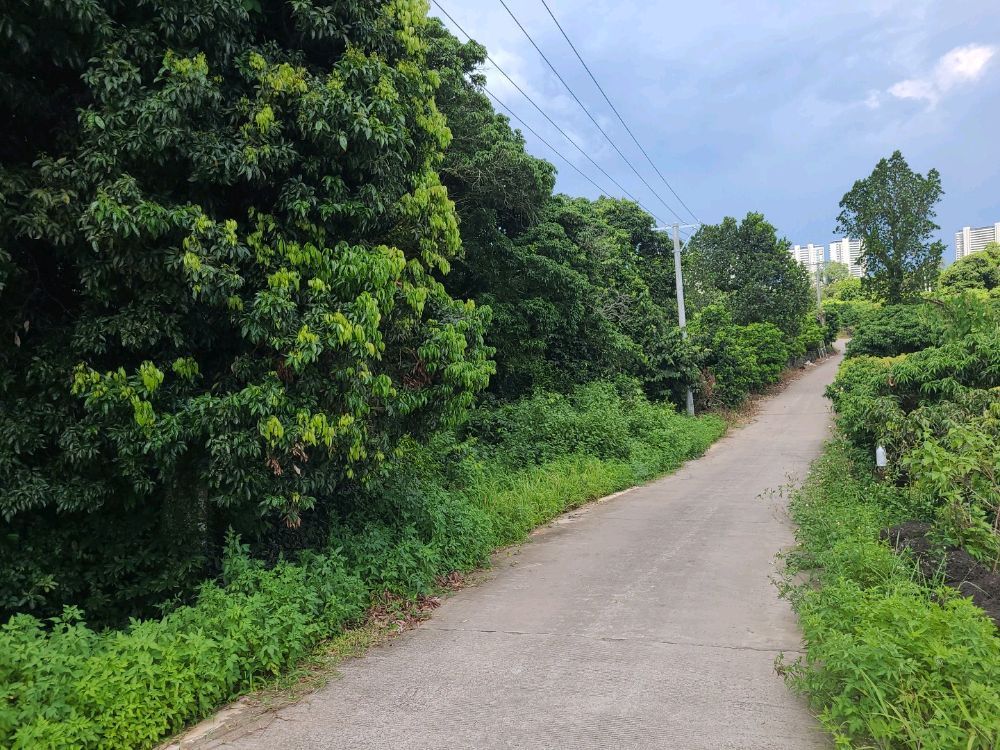 羊山美孝火山文化旅游区