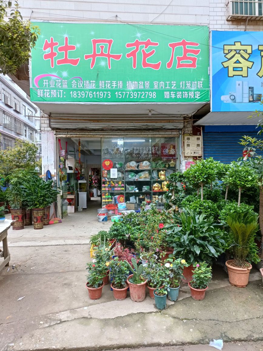 五峰铺牡丹花店
