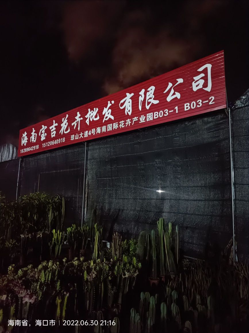 海南宝吉花卉批发有限公司