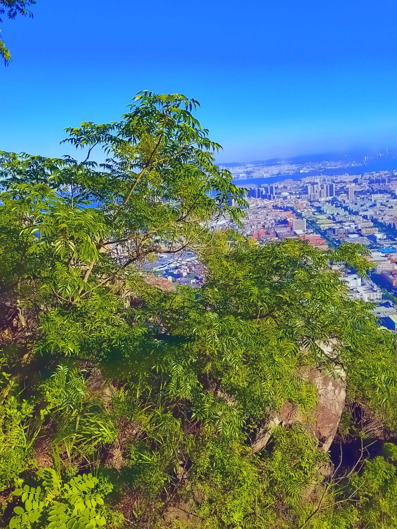 天马山郊野公园