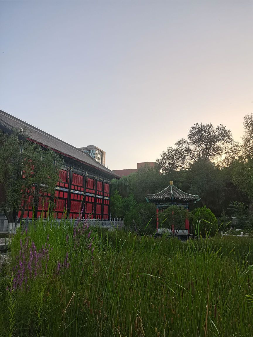 兰州大学(本部)-毓秀湖