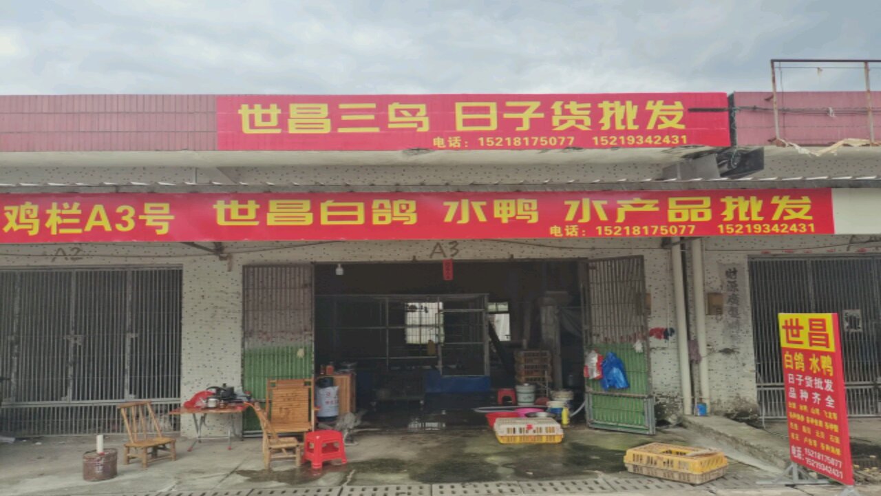 世昌三鸟水产批发