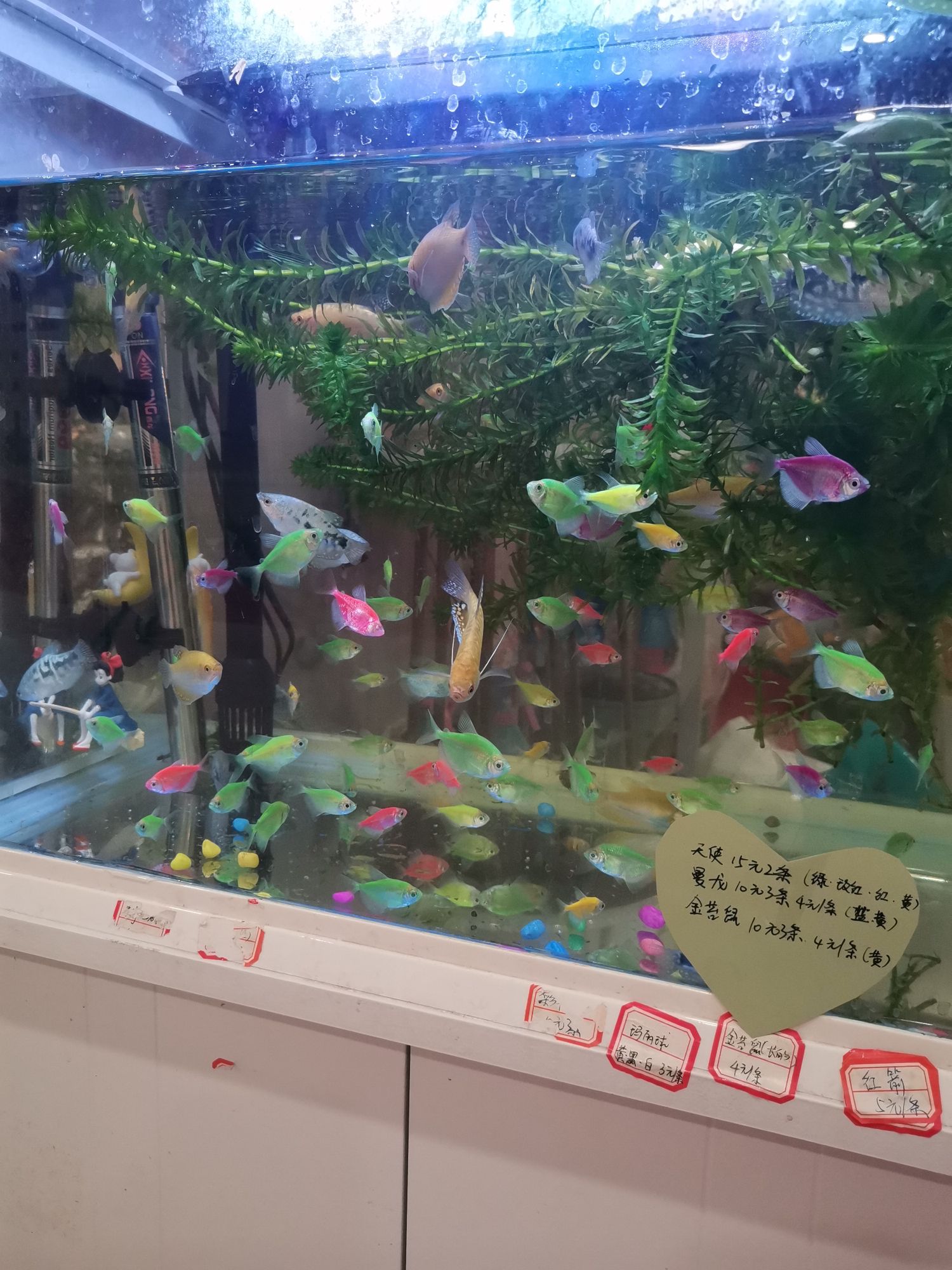 一萌花艺生活馆(万科新淮中心店)
