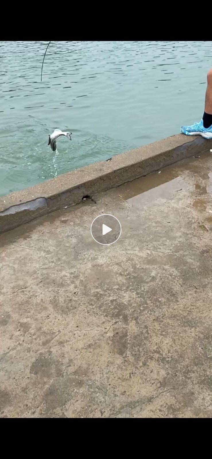 光头海钓场