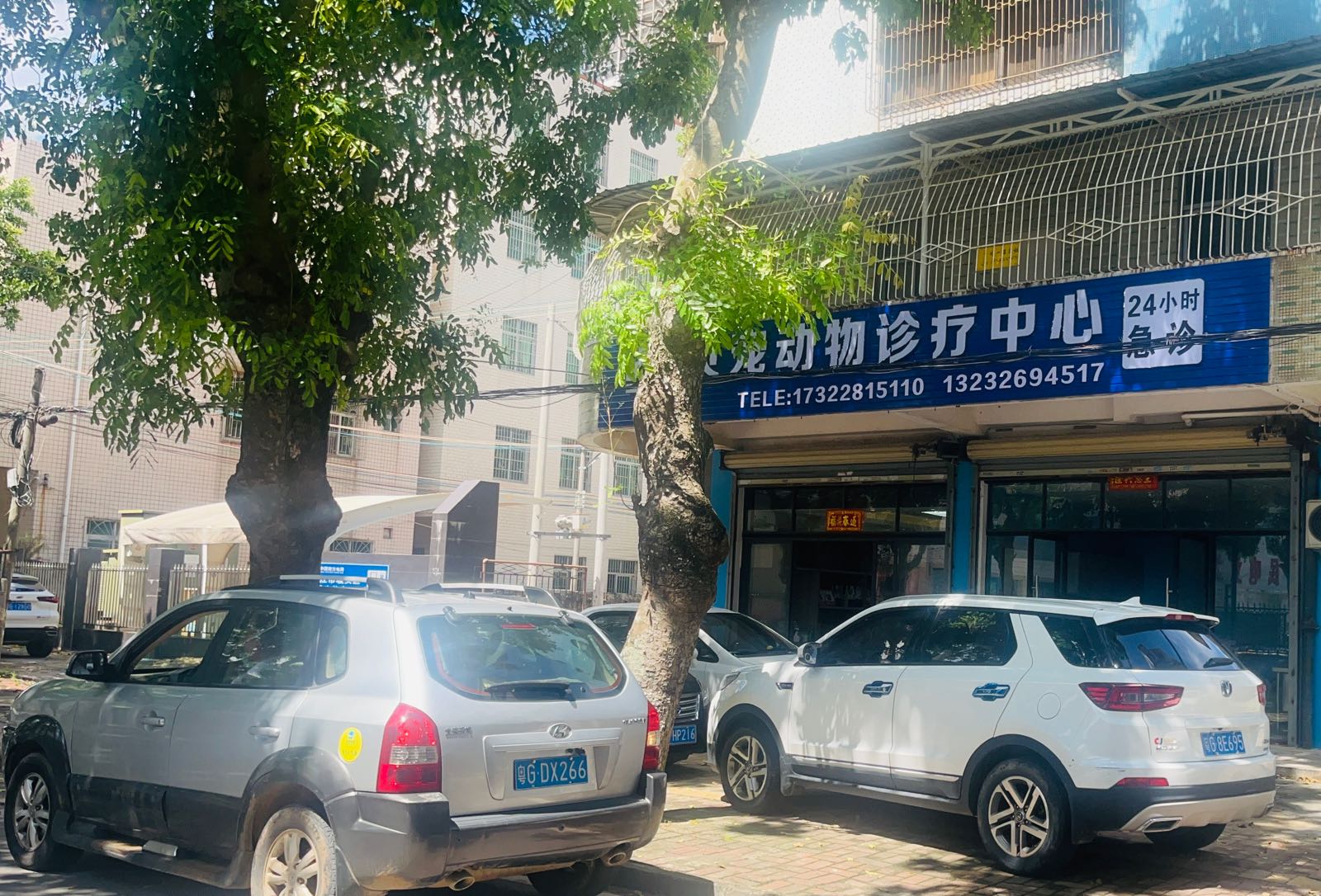 贝宠动物诊疗中心