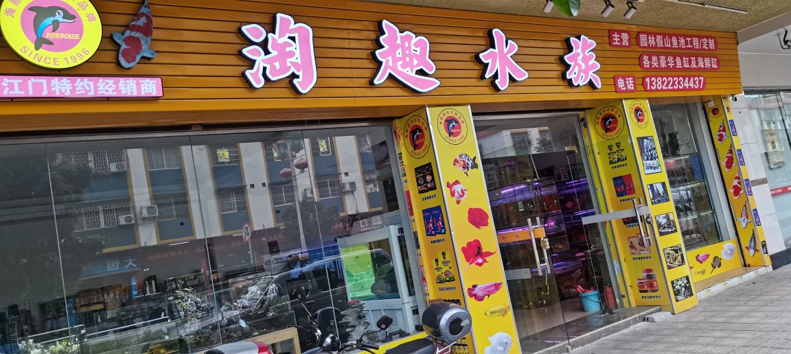 淘趣水族(文昌花园店)