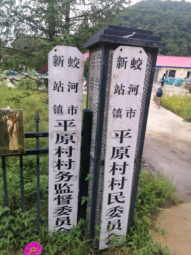 吉林省吉林市蛟河市新站镇平原村退役军人服务站