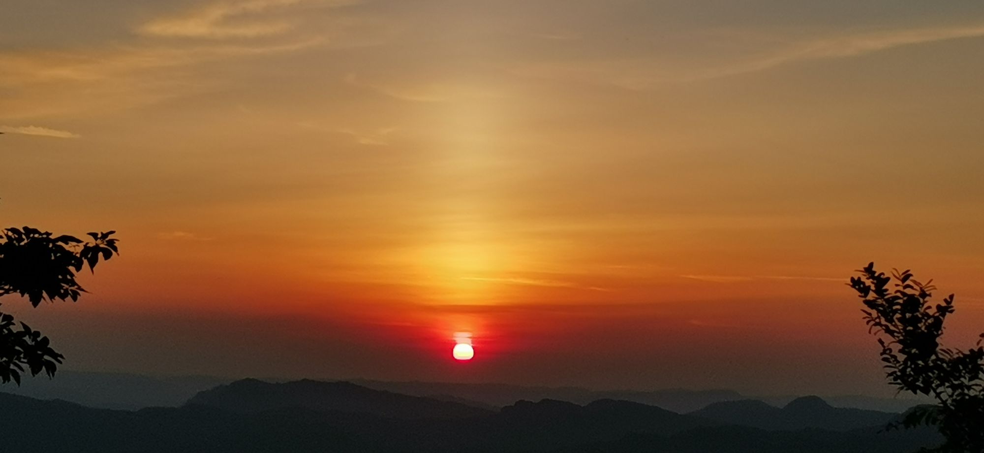 天鹅堡森林公园N区