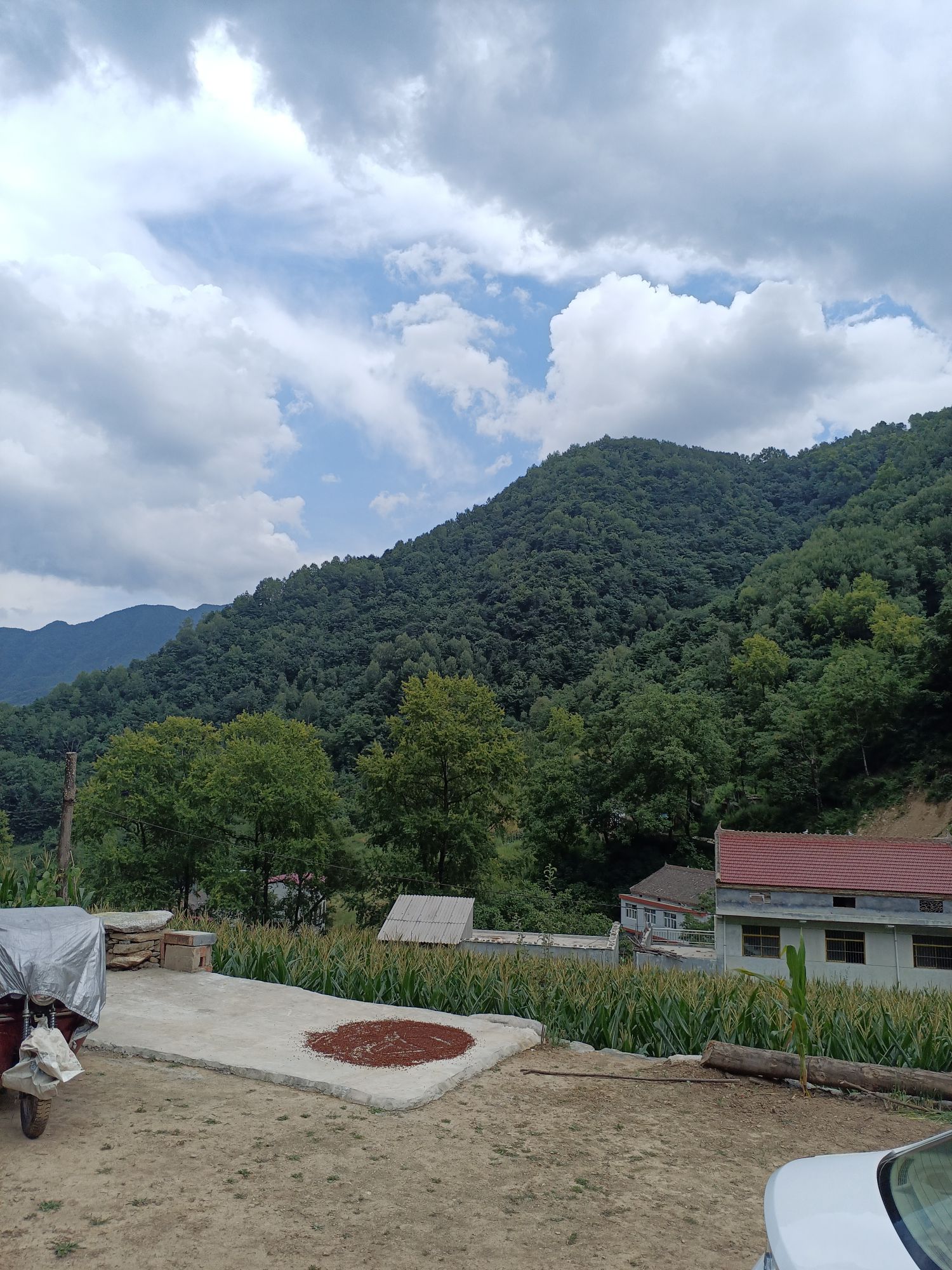 阳坡坪农家乐