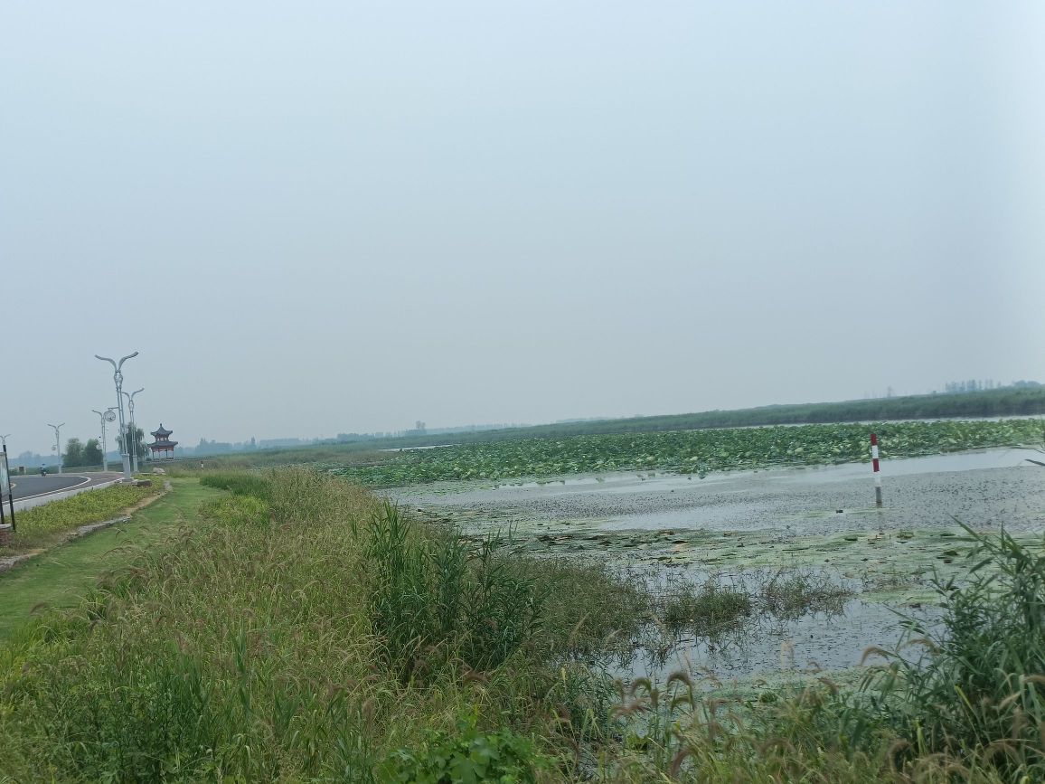 东平滨湖国家湿地公园