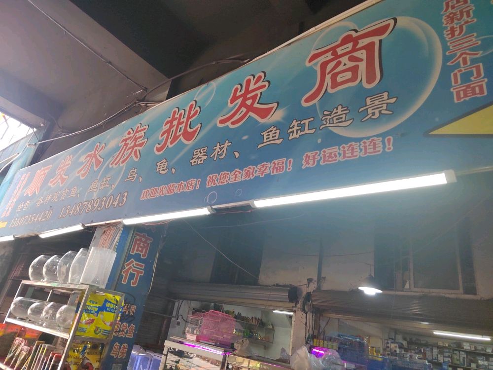 顺发水族批发商