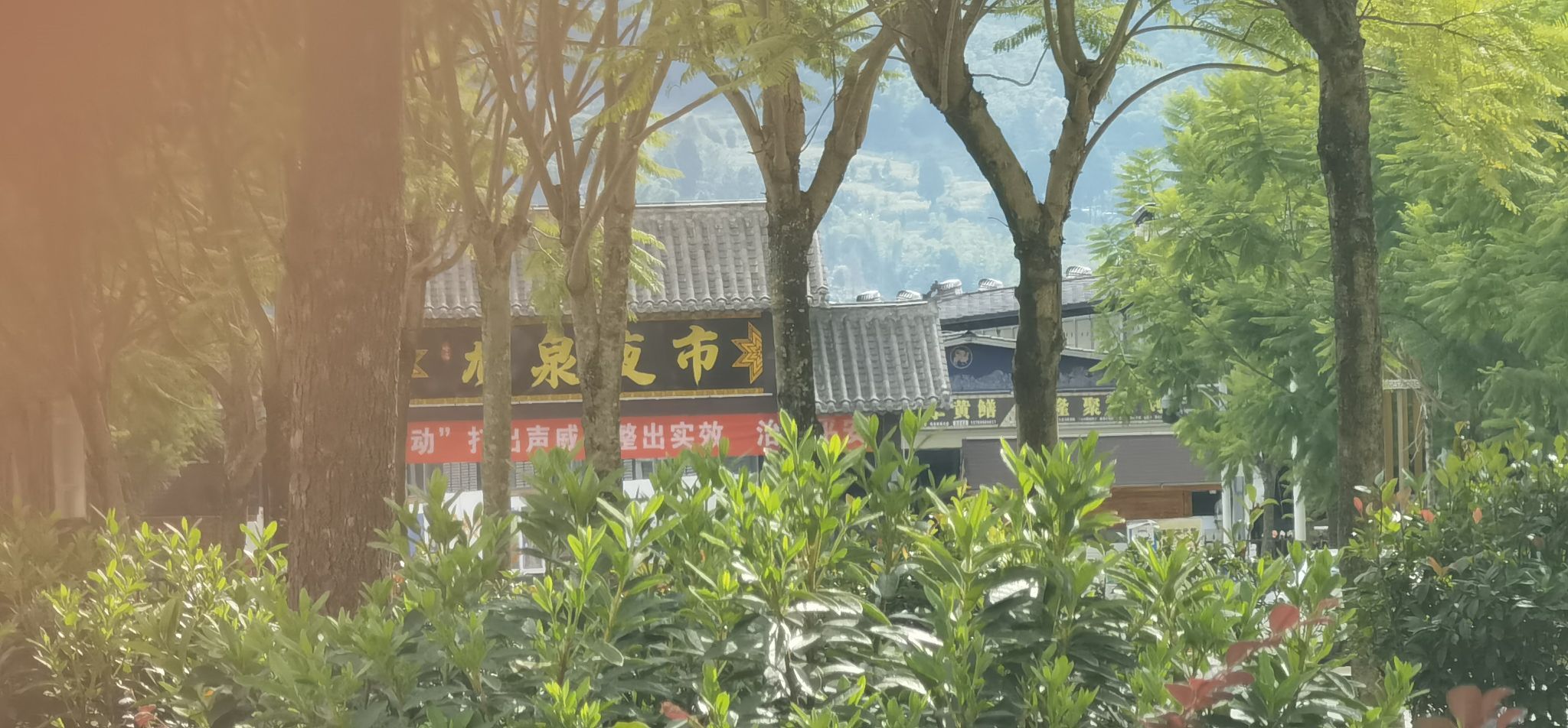哈倪龙泉夜市腰花烧烤