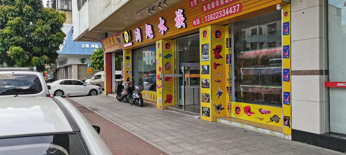 淘趣水族(文昌花园店)