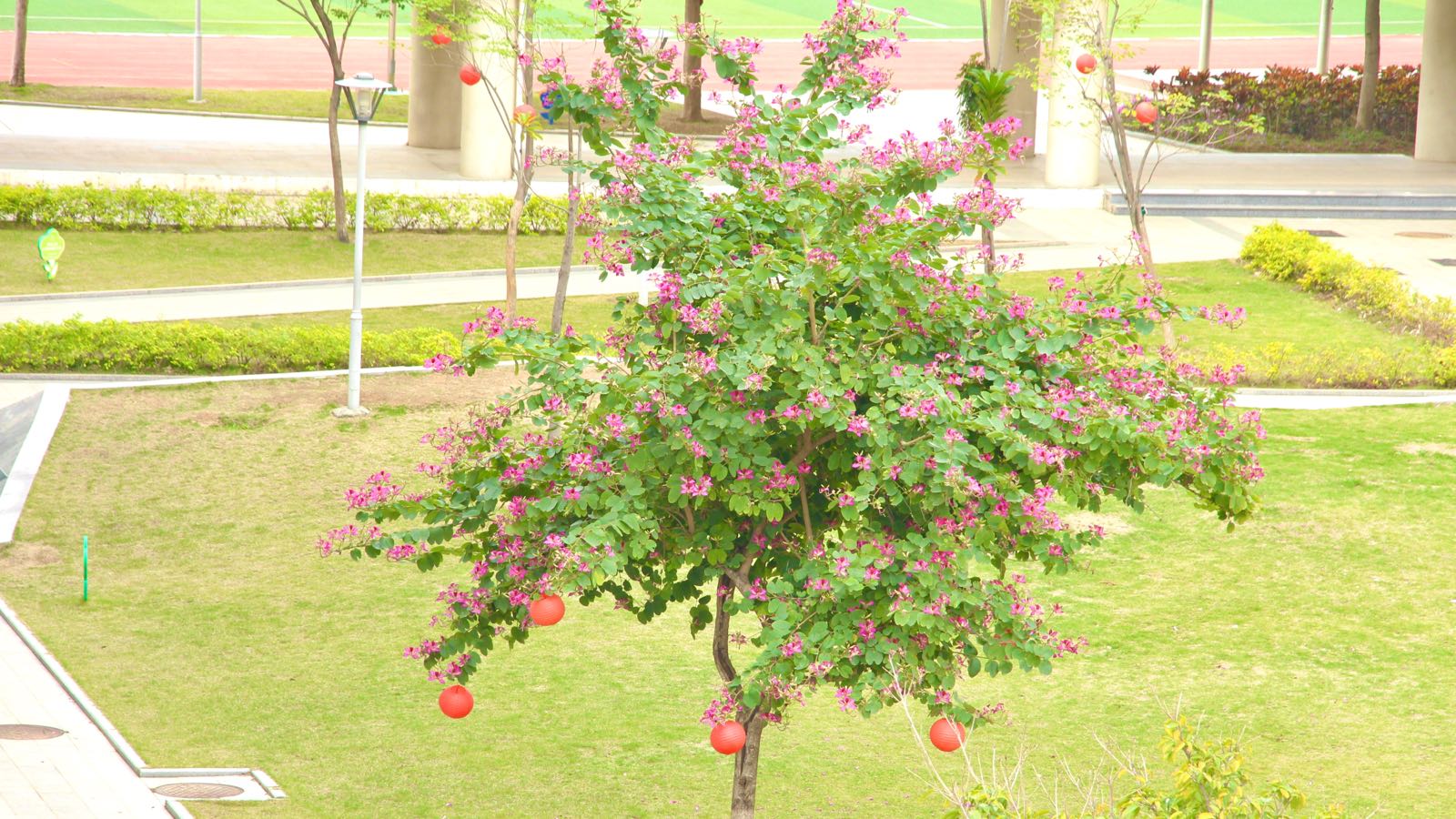 福建省同安第一中学(滨海校区)