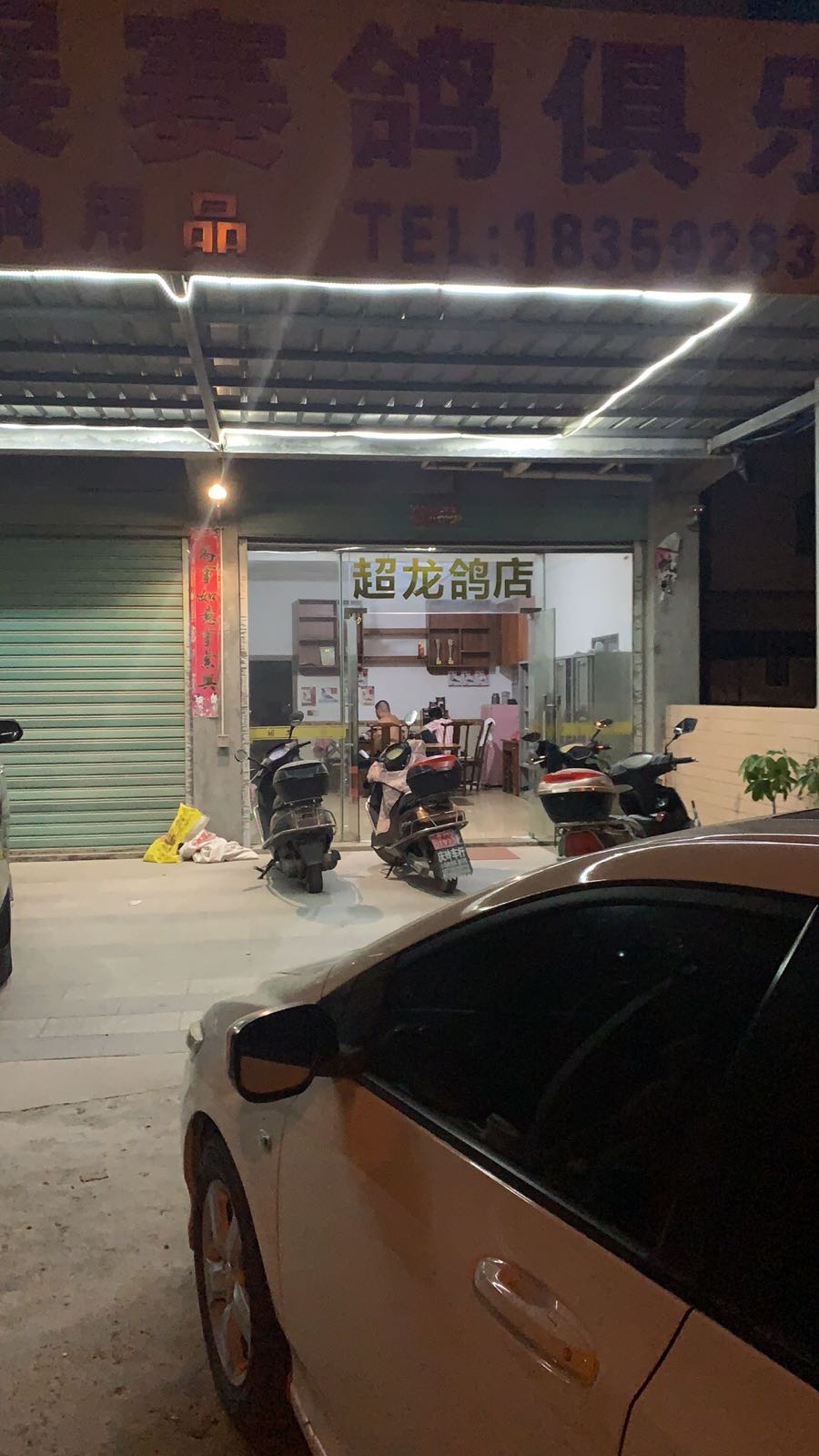 超龙鸽店