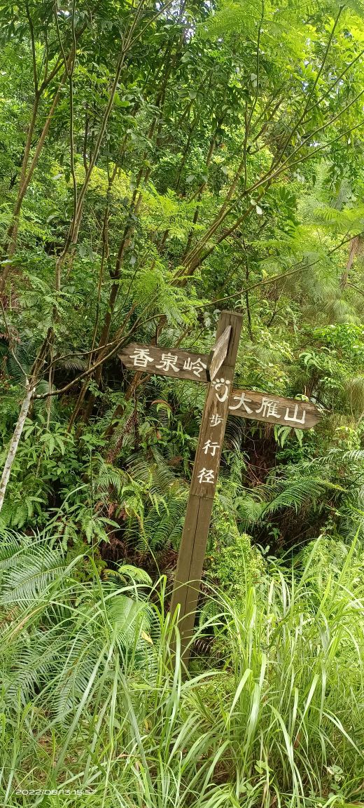 大城山森林公园