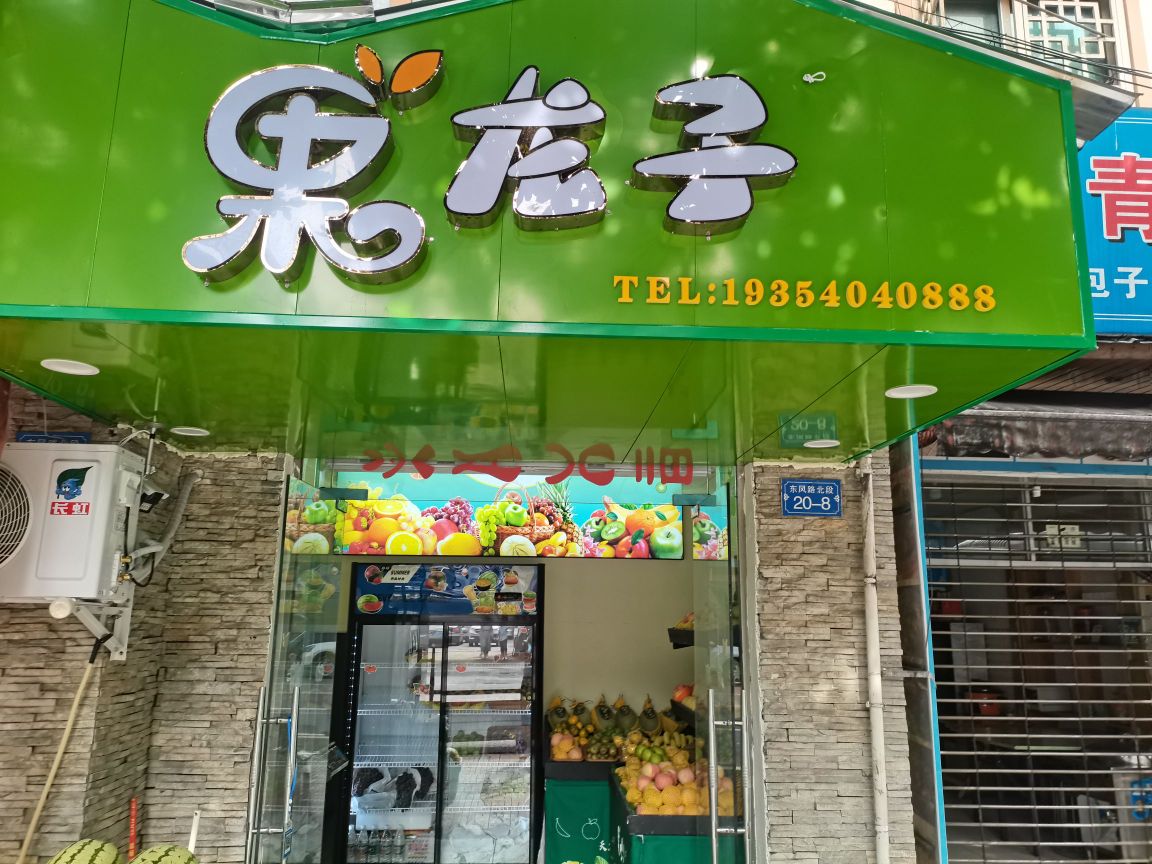 果龙子