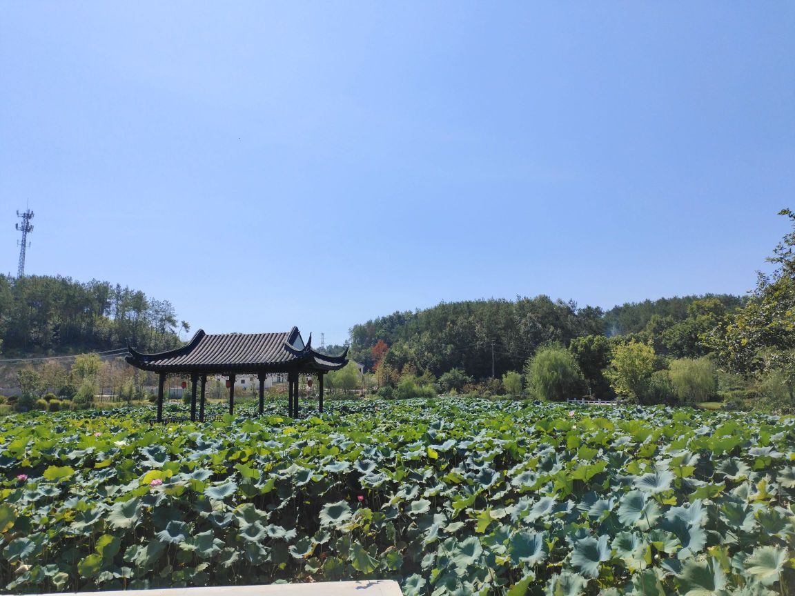 绿城随州桃李春风
