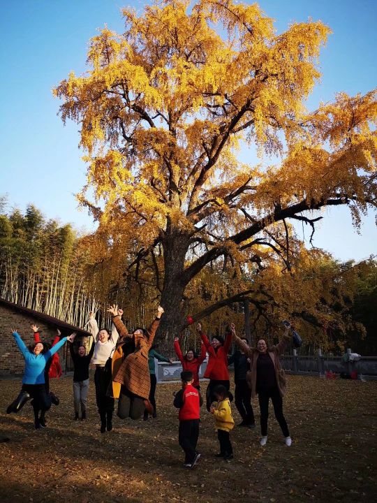 岳阳市君山区天井山森林公园