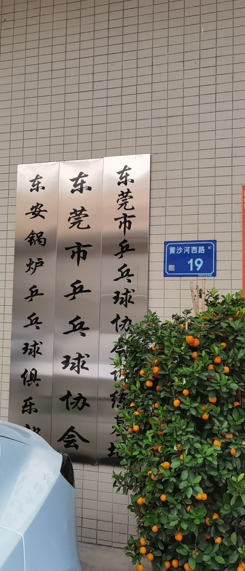 东安锅炉乒乓球俱乐部