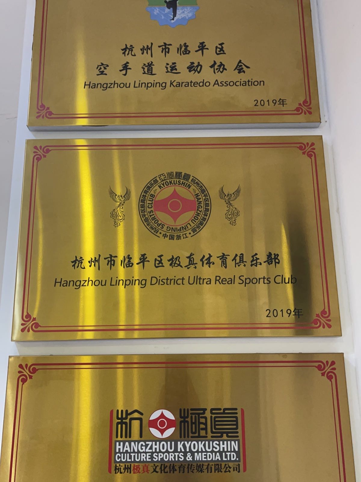 杭州市临平区极真体育俱乐部