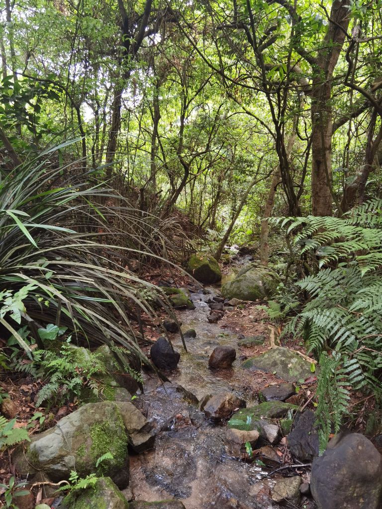 鸡公仔景区