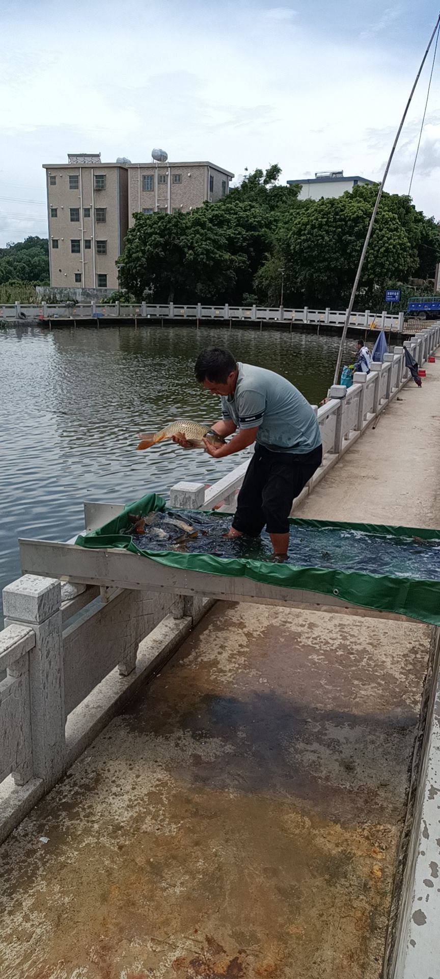 茶园钓鱼场