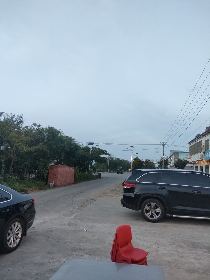 桐寨大龙羊肉(张苍线店)