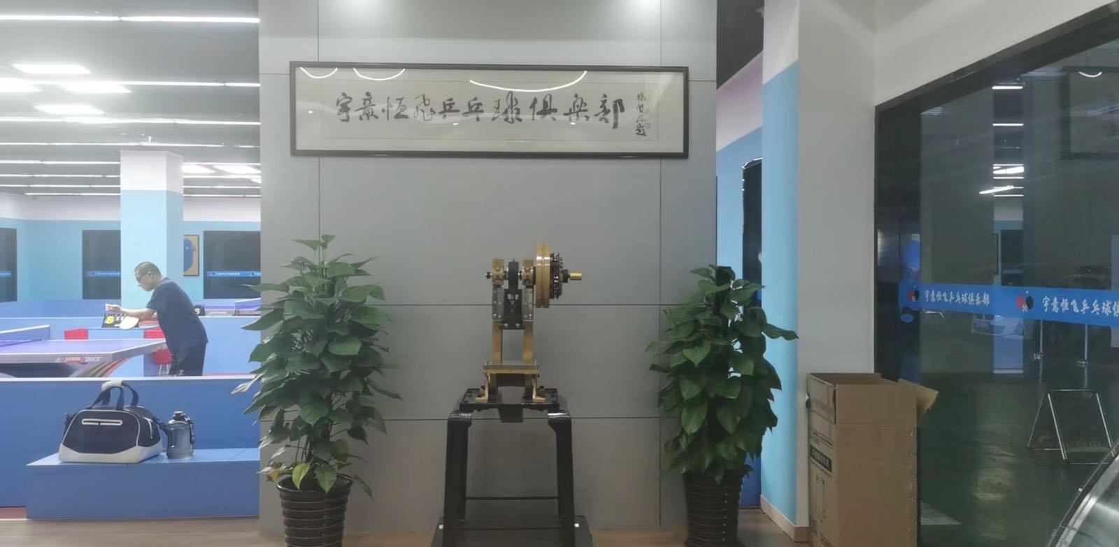 宇意恒飞乒乓球俱乐部