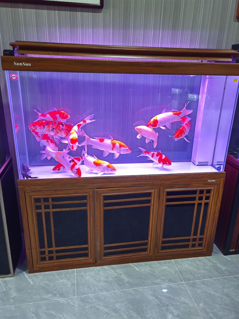 森森水族新零售体验中心