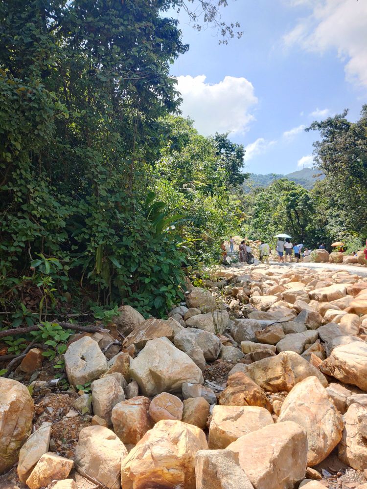 大旺大南街山森林文化公园