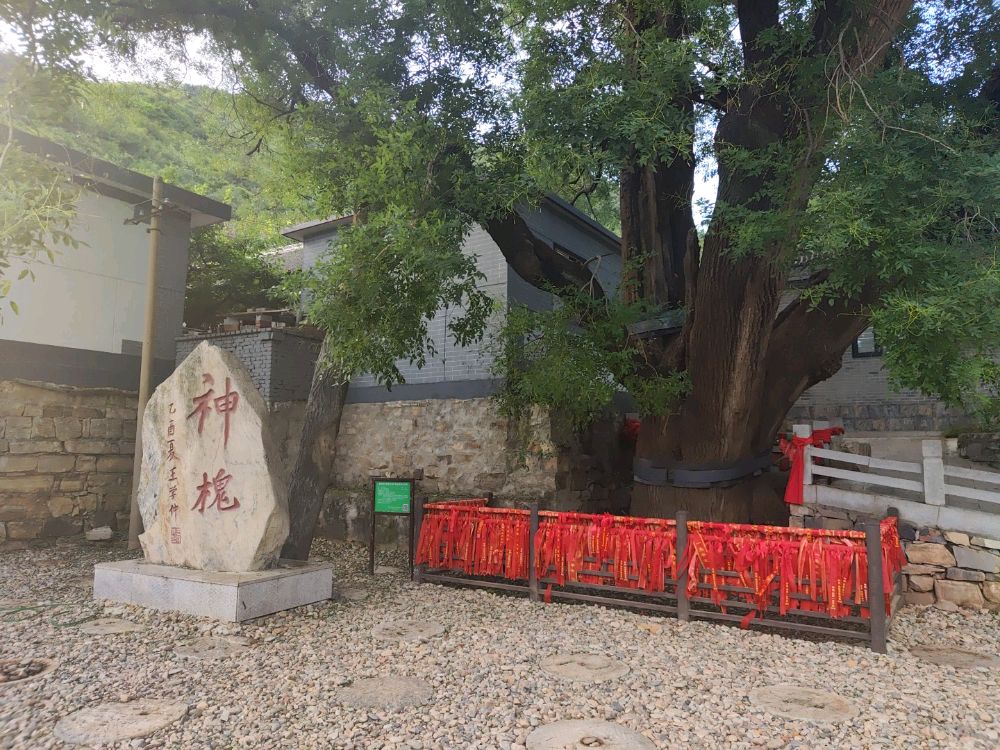 神槐