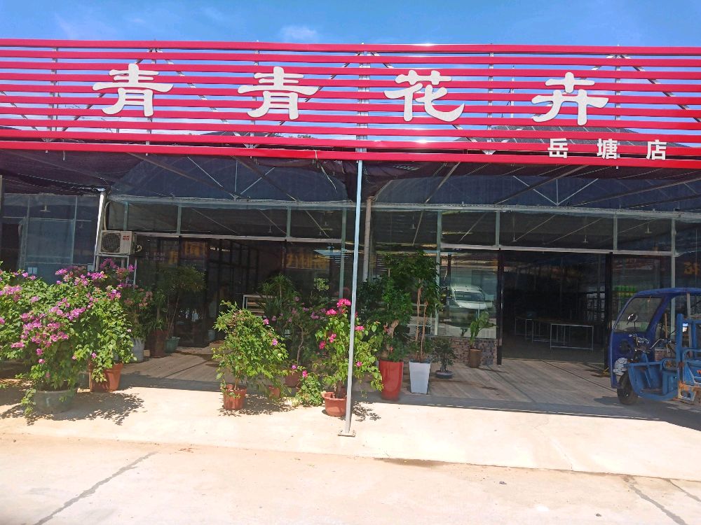 青青花卉(岳塘店)