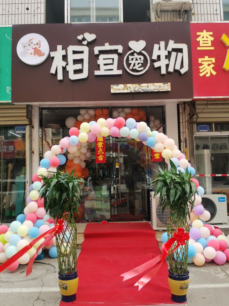 相宜宠物店
