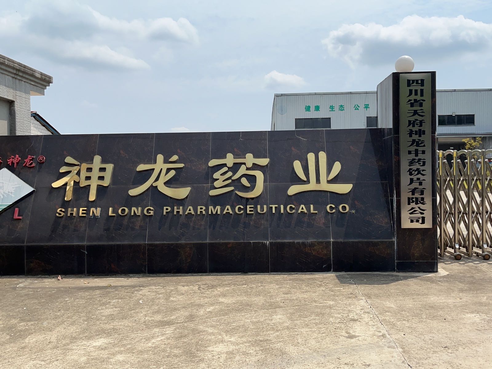 龙药业