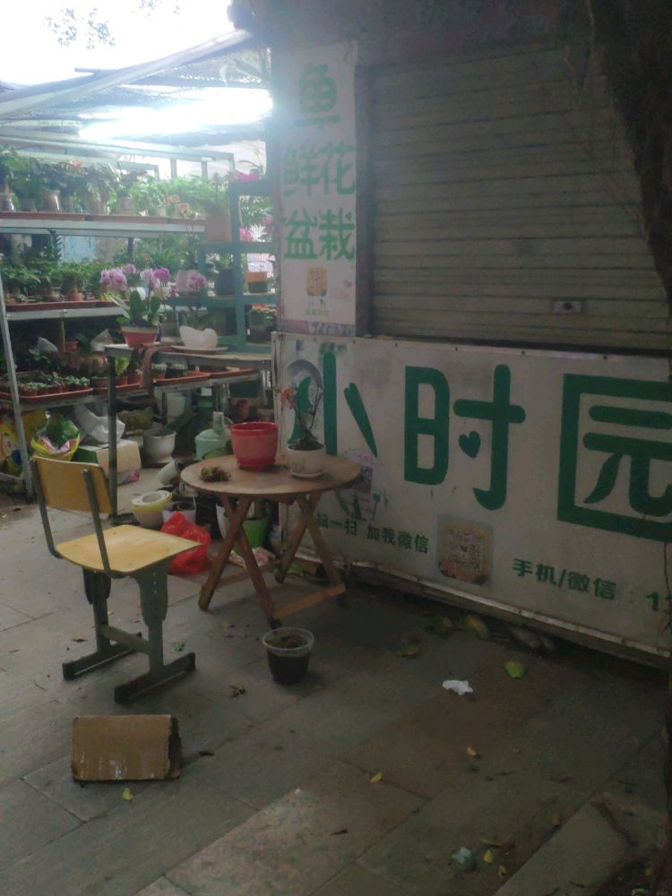 小时园艺花店