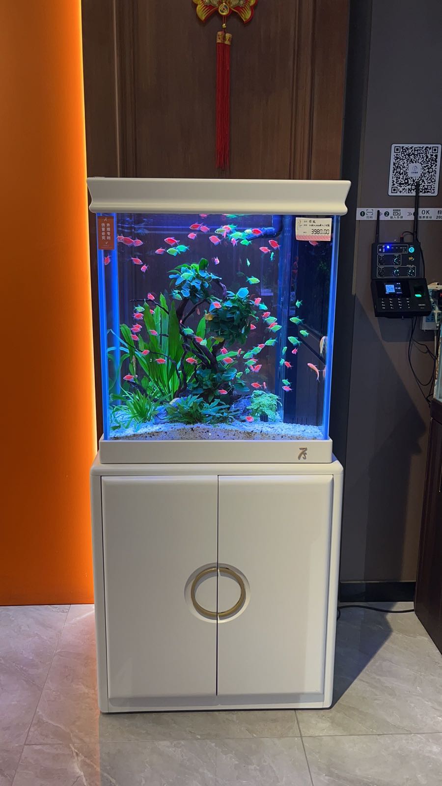 一号水族七秒水族