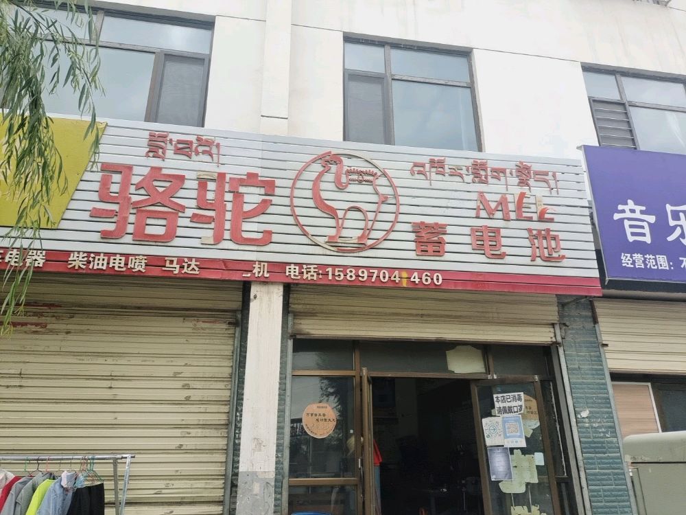 骆驼蓄电池