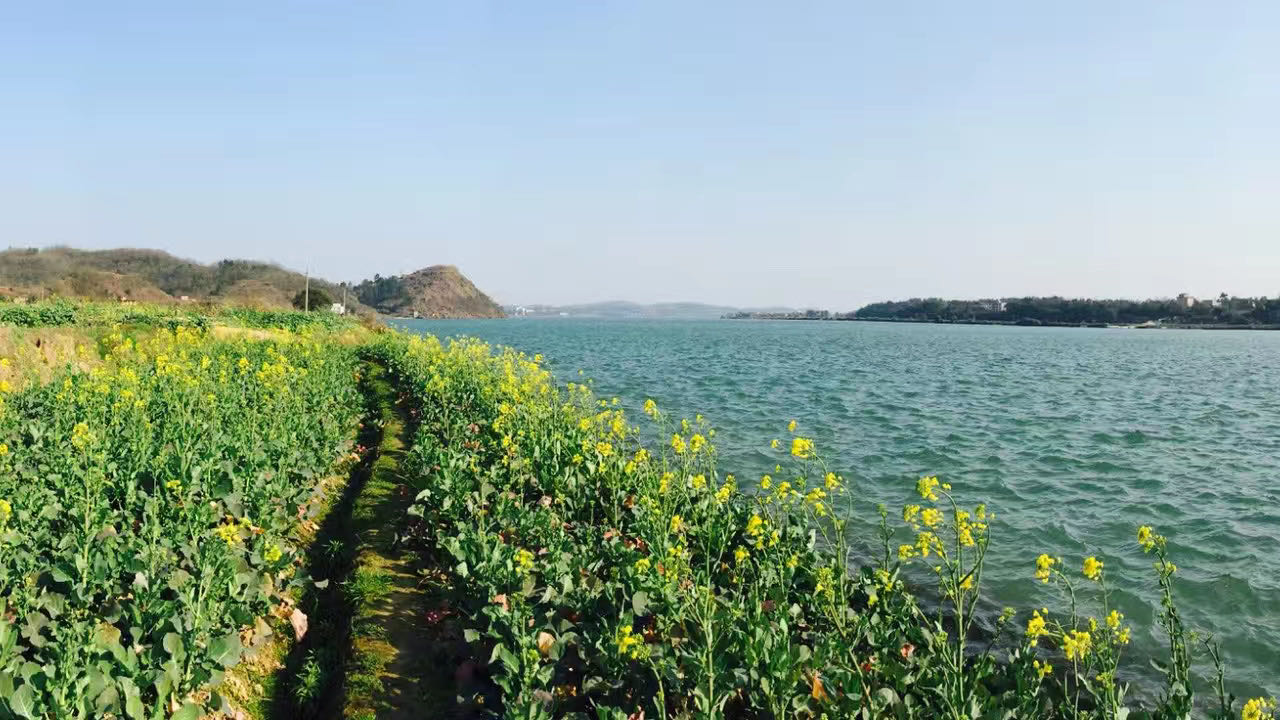 莲湖湾国家湿地公园